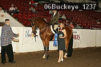 06buckeye_1237 proof