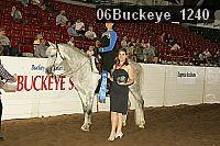 06buckeye_1240 proof