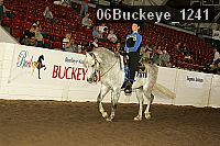 06buckeye_1241 proof