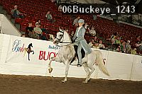 06buckeye_1243 proof