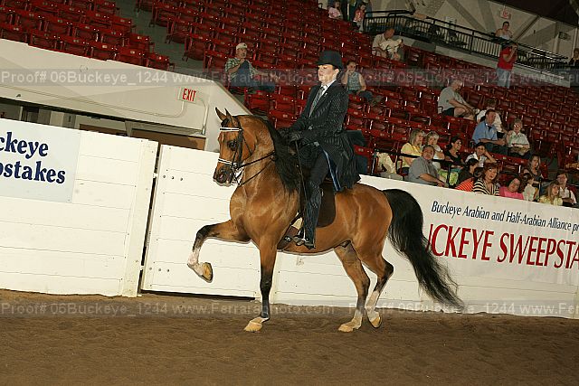 Proof 06buckeye_1244