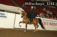 06buckeye_1244 proof