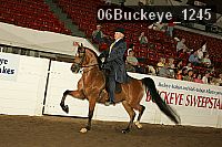 06buckeye_1245 proof