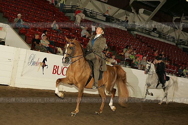 Proof 06buckeye_1246