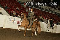 06buckeye_1246 proof