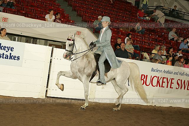 Proof 06buckeye_1247