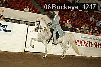 06buckeye_1247 proof