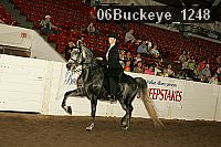06buckeye_1248 proof