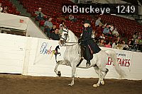 06buckeye_1249 proof