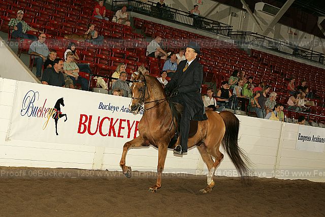 Proof 06buckeye_1250