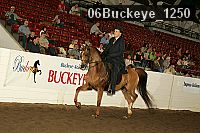 06buckeye_1250 proof