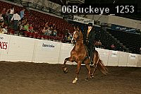 06buckeye_1253 proof