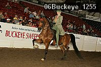 06buckeye_1255 proof