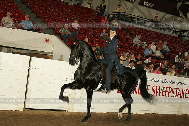 Proof 06buckeye_1256