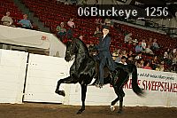 06buckeye_1256 proof