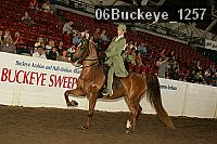06buckeye_1257 proof
