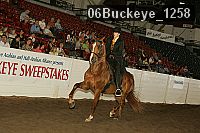 06buckeye_1258 proof