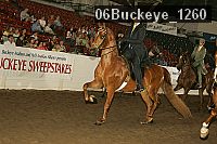 06buckeye_1260 proof