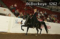 06buckeye_1262 proof