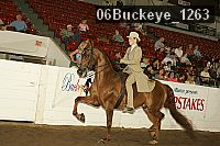 06buckeye_1263 proof