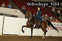 06buckeye_1264 proof