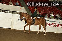06buckeye_1266 proof