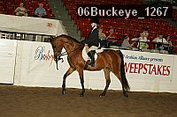 06buckeye_1267 proof