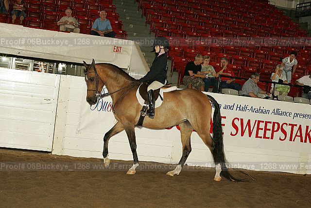 Proof 06buckeye_1268