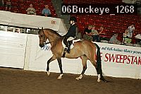 06buckeye_1268 proof