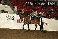 06buckeye_1269 proof