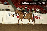 06buckeye_1270 proof