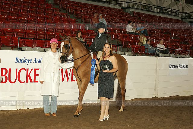 Proof 06buckeye_1271