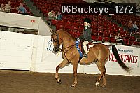 06buckeye_1272 proof
