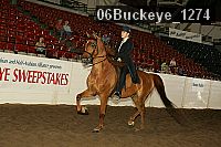 06buckeye_1274 proof