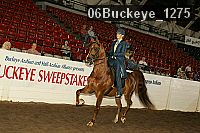 06buckeye_1275 proof
