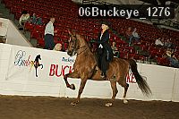 06buckeye_1276 proof