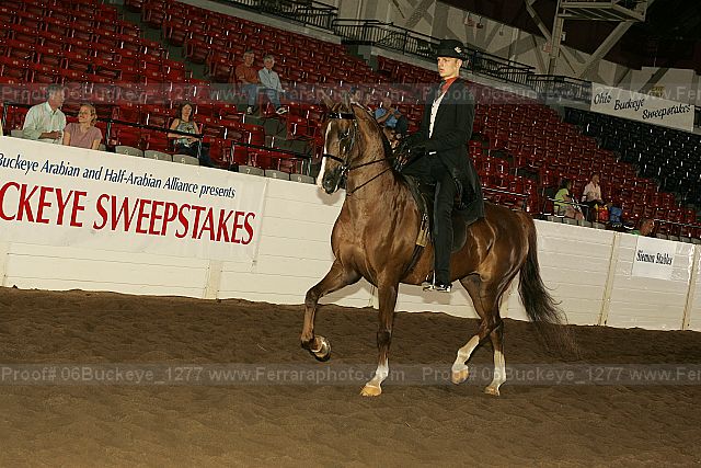 Proof 06buckeye_1277