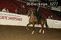 06buckeye_1277 proof