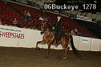 06buckeye_1278 proof