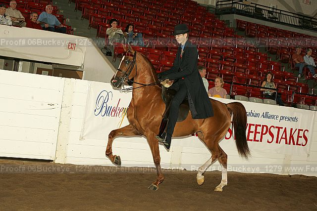 Proof 06buckeye_1279