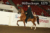 06buckeye_1279 proof