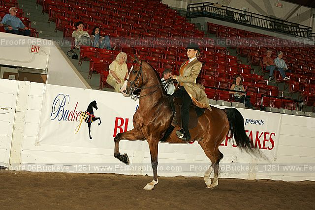 Proof 06buckeye_1281