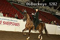 06buckeye_1282 proof
