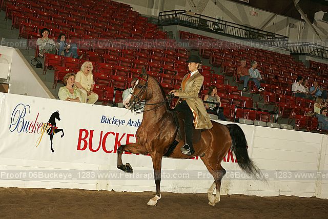 Proof 06buckeye_1283