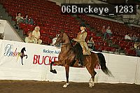 06buckeye_1283 proof