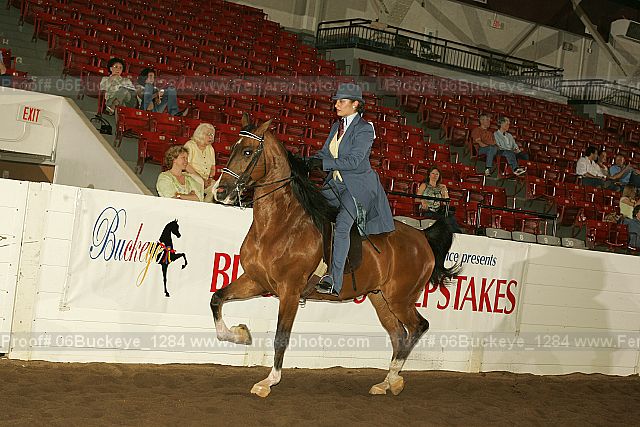Proof 06buckeye_1284