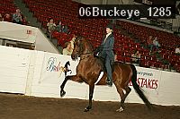 06buckeye_1285 proof