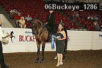 06buckeye_1286 proof