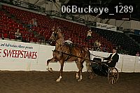 06buckeye_1289 proof