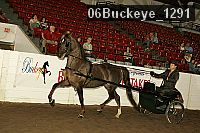 06buckeye_1291 proof